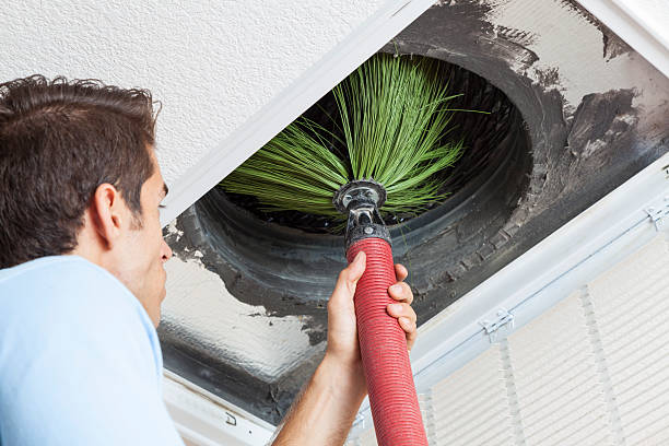 Emergency Air Duct Cleaning in Zephyrhills North, FL